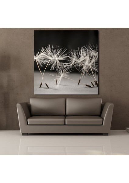 Karahindiba Çiçeği Kanvas Tablo 90X90CM fiyatları