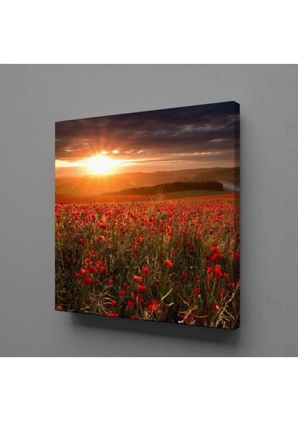Çiçek Tarlası Kanvas Tablo 90X90CM