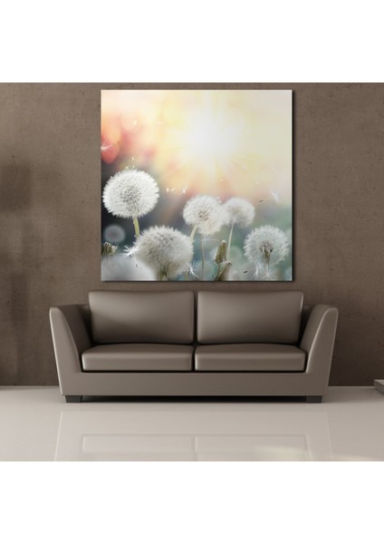 Karahindiba Çiçekleri Kanvas Tablo 100X100CM fiyatları