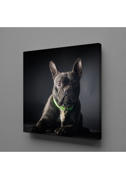 Siyah Köpek Kanvas Tablo 110X110CM