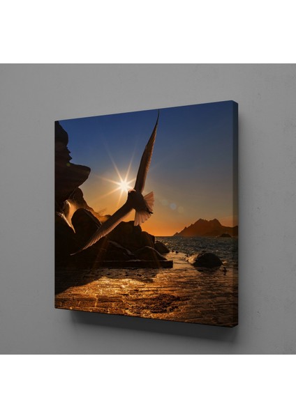 Sahilde Uçan Kuş Kanvas Tablo 140X140CM