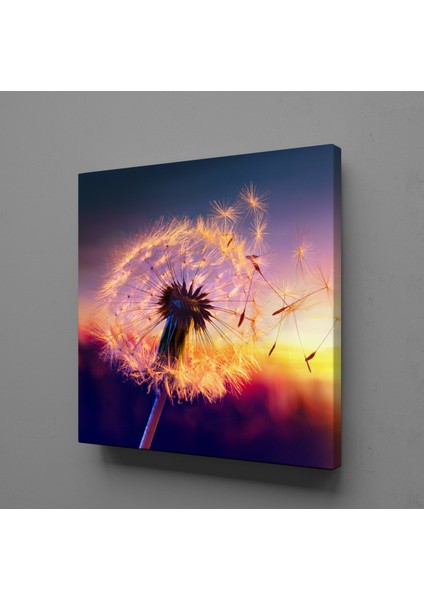 Karahindiba Çiçeği Uçan Yaprakklar Kanvas Tablo 90X90CM