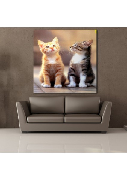 Farklı Renkte Kedi Kanvas Tablo 50X50CM fiyatları