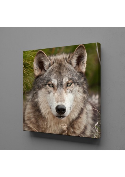 Kurt Kanvas Tablo 120X120CM