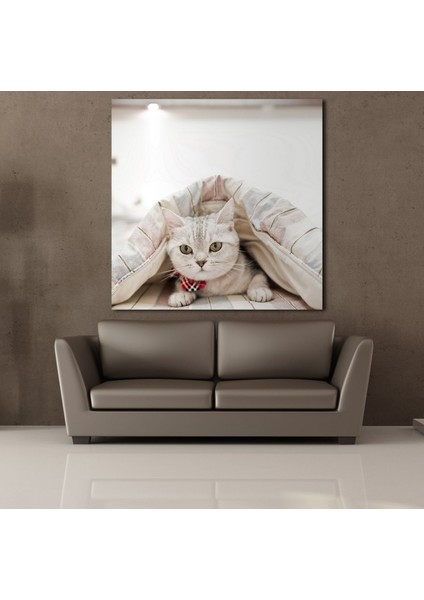 Sevimli Kedi Kanvas Tablo 90X90CM fiyatları