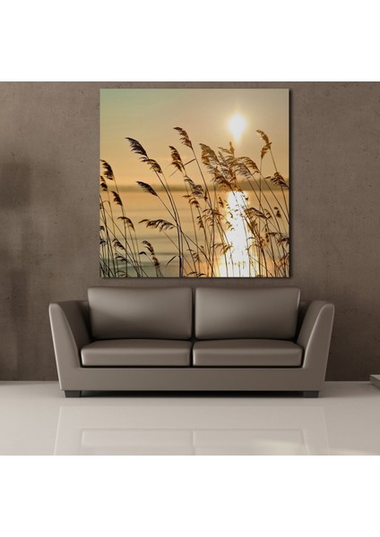 Çiçek Tarlası Kanvas Tablo 50X50CM fiyatları