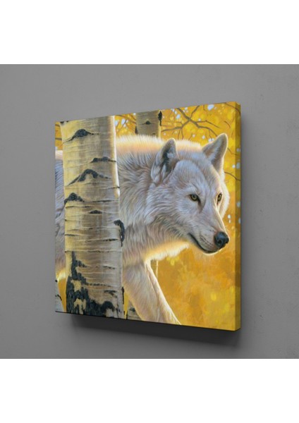 Beyaz Kurt Kanvas Tablo 70X70CM