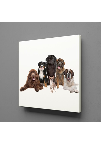 Köpek Topluluğu Kanvas Tablo 120X120CM