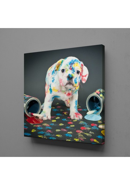 Boya Sıçramış Beyaz Köpek Kanvas Tablo 110X110CM