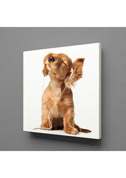 Müzik Dinleyen Köpek Kanvas Tablo 120X120CM