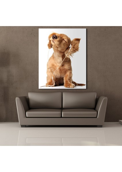 Müzik Dinleyen Köpek Kanvas Tablo 120X120CM fiyatları