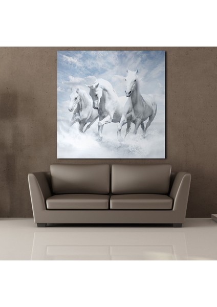 Beyaz Atlar Ülkesi Kanvas Tablo 70X70CM fiyatları