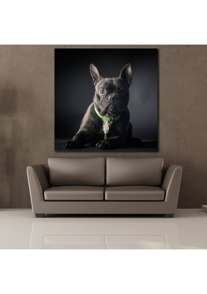 Siyah Köpek Kanvas Tablo 100X100CM fiyatları