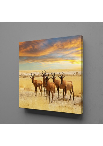 Geyikler Kanvas Tablo 110X110CM
