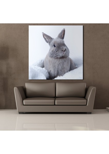 Gri Tavşan Kanvas Tablo 90X90CM fiyatları