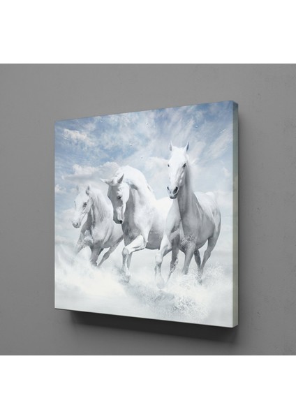 Beyaz Atlar Ülkesi Kanvas Tablo 120X120CM