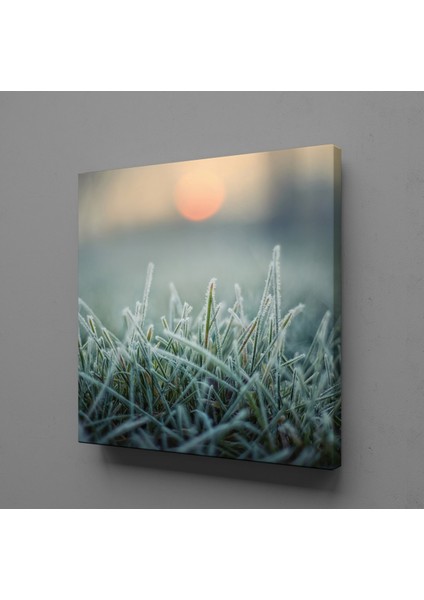 Buğday Başakları Kanvas Tablo 50X50CM fiyatları