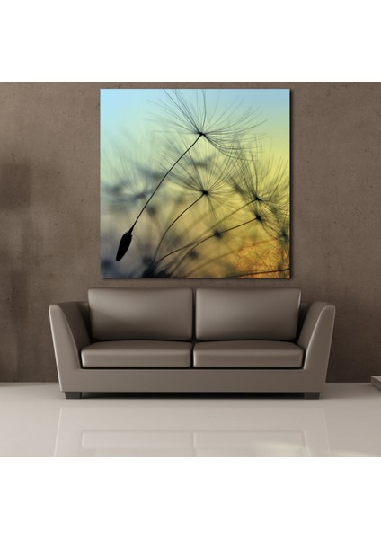 Karahindiba Çiçeği Resmi Kanvas Tablo 40X40CM