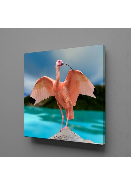Pembe Flamingo Kanvas Tablo 130X130CM