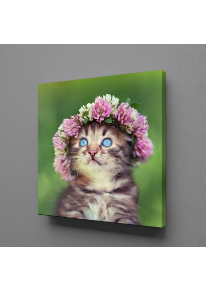 Tatlı Kedi Kanvas Tablo 100X100CM