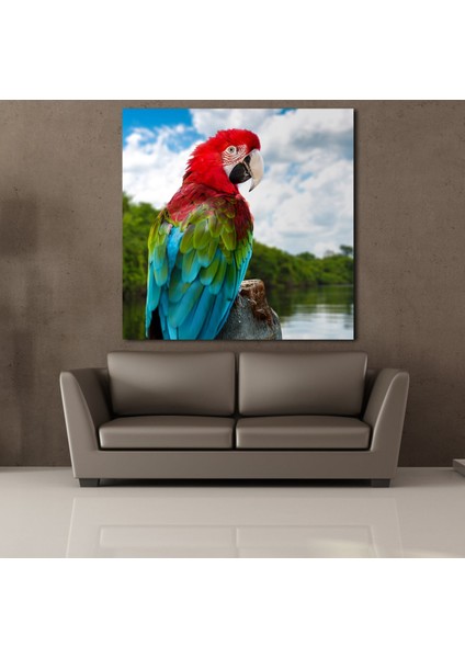 Renkli Papağan Kanvas Tablo 90X90CM