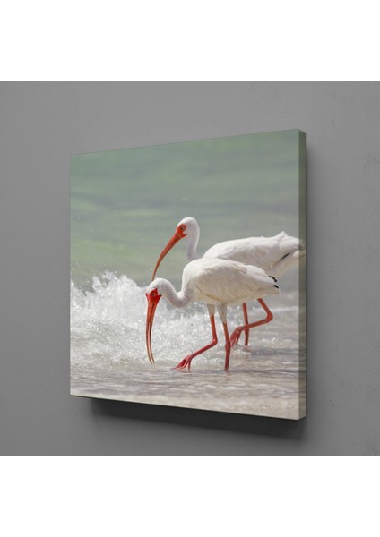 Beyaz Flamingolar Kanvas Tablo 190X190CM
