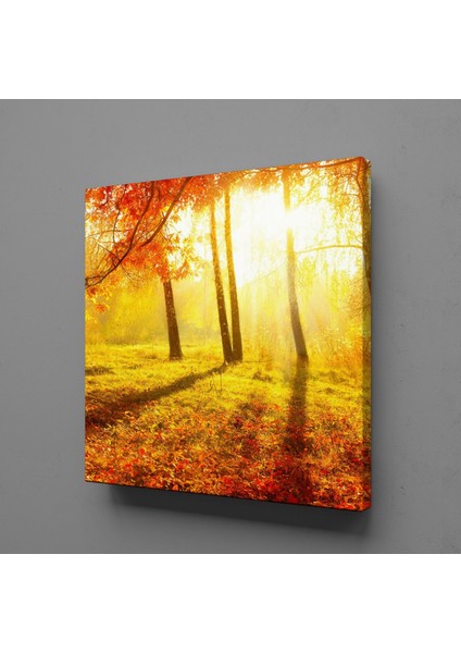 Doğa Manzarası Kanvas Tablo 150X150CM