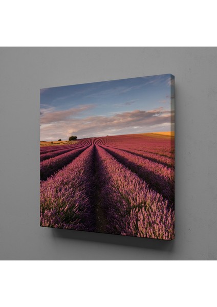 Pembe Çiçek Tarlası Kanvas Tablo 25X25CM