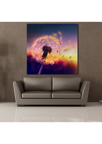 Karahindiba Çiçeği Uçan Yaprakklar Kanvas Tablo 200X200CM fiyatları