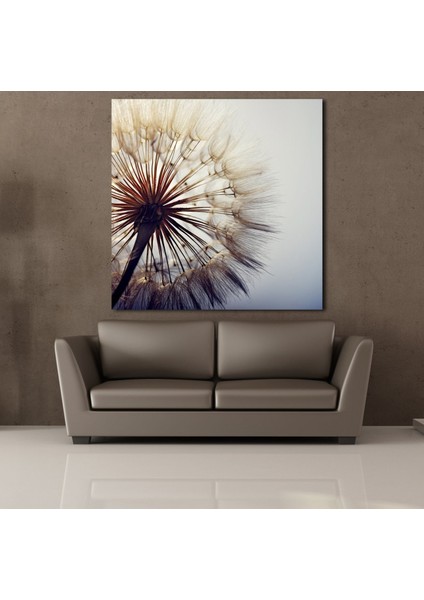 Karahindiba Çiçeği Resimleri Kanvas Tablo 170X170CM