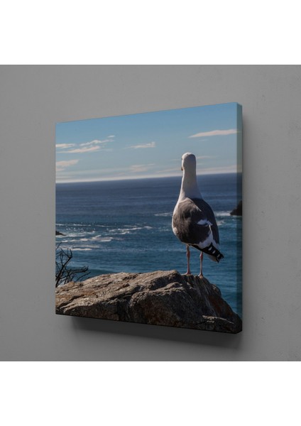 Martı Kanvas Tablo 30X30CM