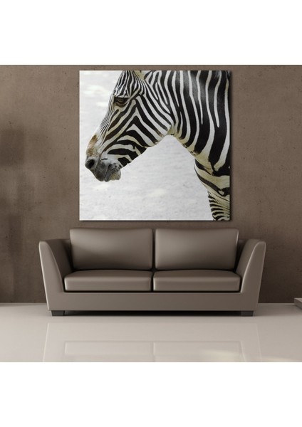 Zebra Kafası Kanvas Tablo 190X190CM