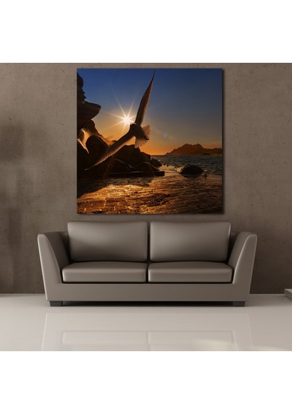 Sahilde Uçan Kuş Kanvas Tablo 200X200CM fiyatları