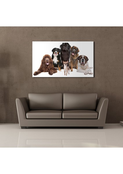 Köpek Topluluğu Kanvas Tablo 200X200CM