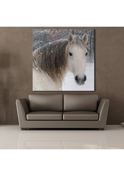 Masum At Kanvas Tablo 150X150CM fiyatları