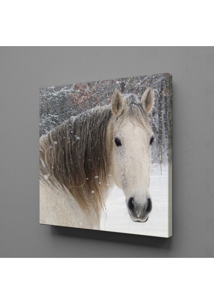 Masum At Kanvas Tablo 25X25CM