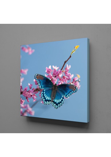 Mavi Kelebek Kanvas Tablo 25X25CM