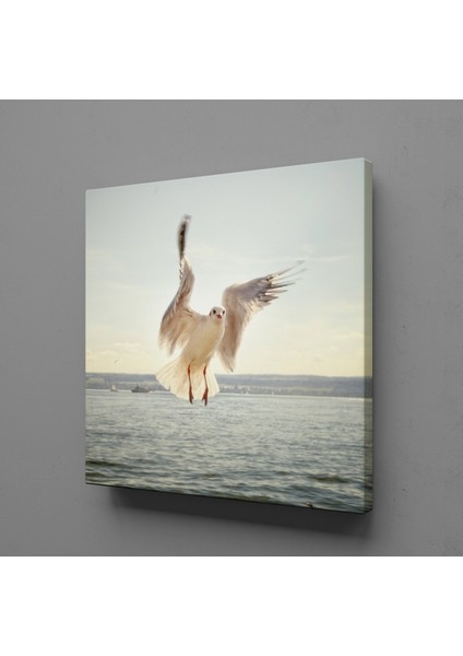 Beyaz Martı Kanvas Tablo 170X170CM