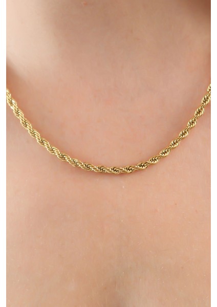 316L Çelik Gold Renk Burgu Model Kadın Kolye fiyatları