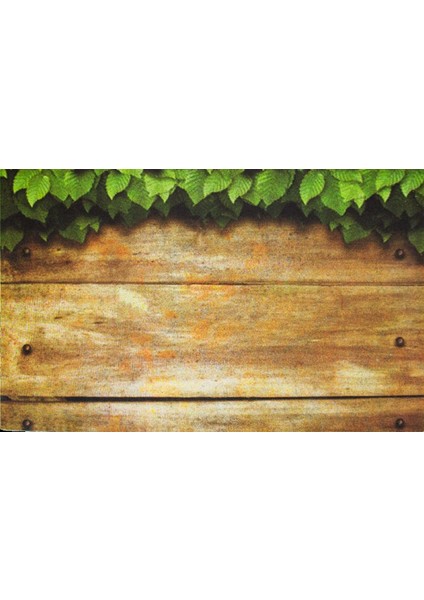 Home Mozaik Kapı Paspası 45X75 Sarmaşık Dekoratif Çok Amaçlı Kauçuk Taban