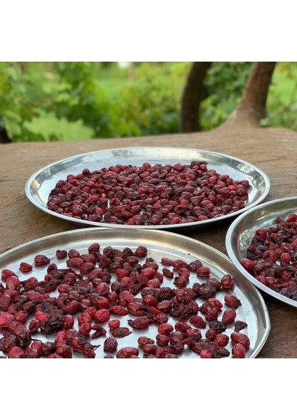 Kızılcık Kurusu - Çekirdekli (1 Kg)