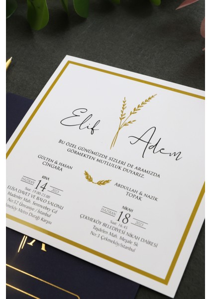 Lacivert Düğün Davetiyesi - Altın Yaldız - 2025 Yeni Model Düğün-Nişan-Kına-Nikah-Sünnet DAVETIYE-113 fiyatları