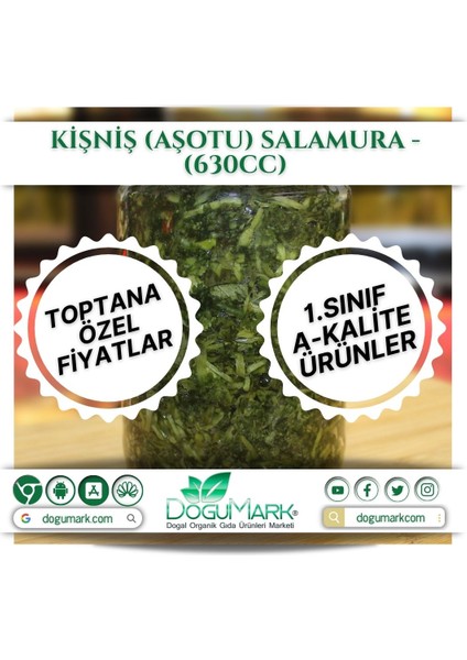 Kişniş (Aşotu) Salamura - (630CC)