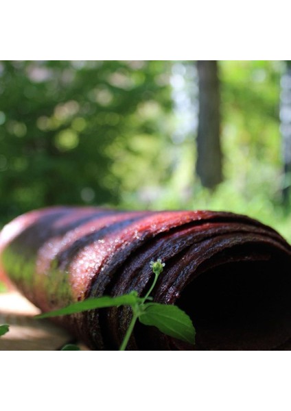 Kızılcık Pestili (1 Kg) fiyatları