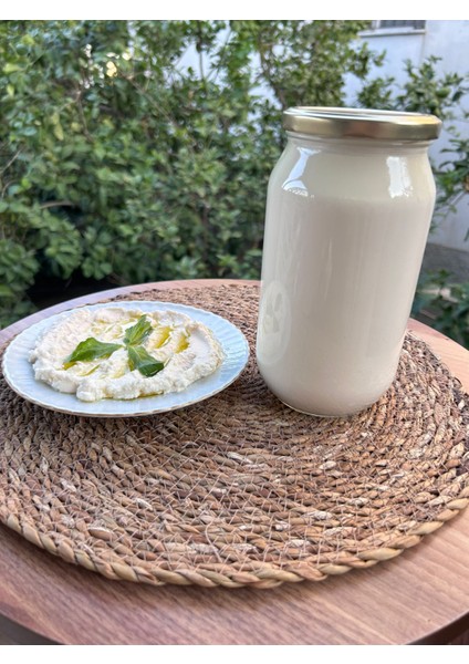 Kahvaltılık Antakya Tuzlu Yoğurt 1kg modelleri
