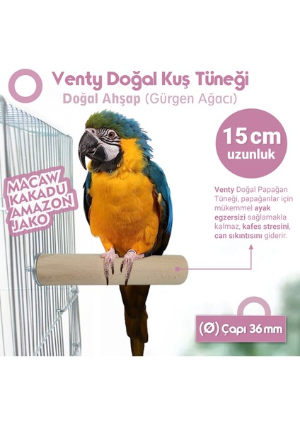 Venty 15 cm Doğal Ahşap Papağan Tüneği | Ø 36 mm | Macaw, Kakadu, Jako, Amazon, Alexander, Kayık, Eklektus - Büyük Irklar İçin