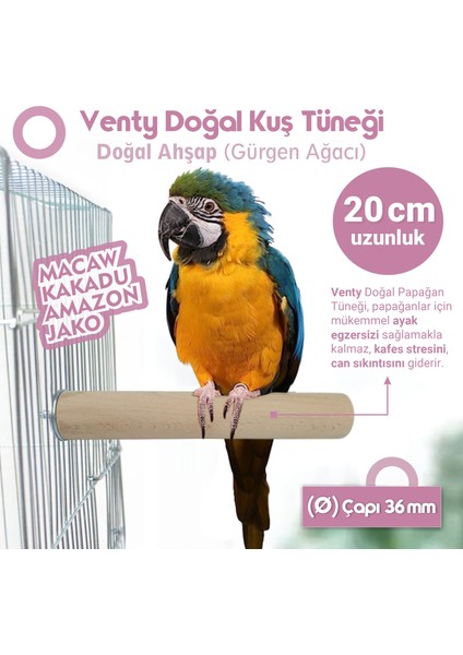 Venty 20 cm Doğal Ahşap Papağan Tüneği | Ø 36 mm | Macaw, Kakadu, Jako, Amazon, Alexander, Kayık, Eklektus - Büyük Irklar İçin