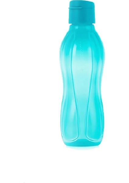 Eco Şişe Suluk 500 ml 2 Li Kolay Kapak Turkuaz & Pembe modelleri