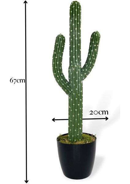 Yapay Çiçek Kaktüs Ağacı 3kollu Siyah Saksıda 67*20CM SK4018