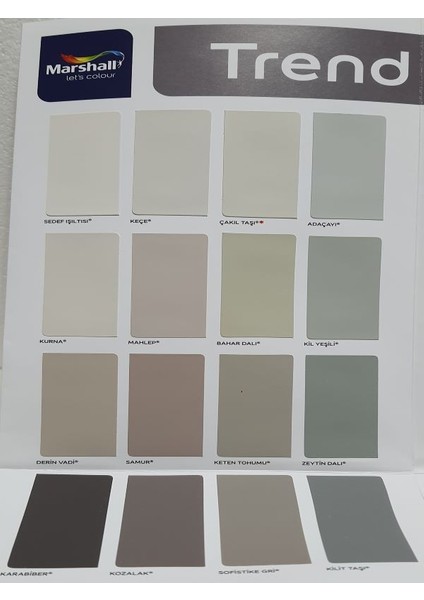 Silikonlu Özel Mat Boya 1 Lt